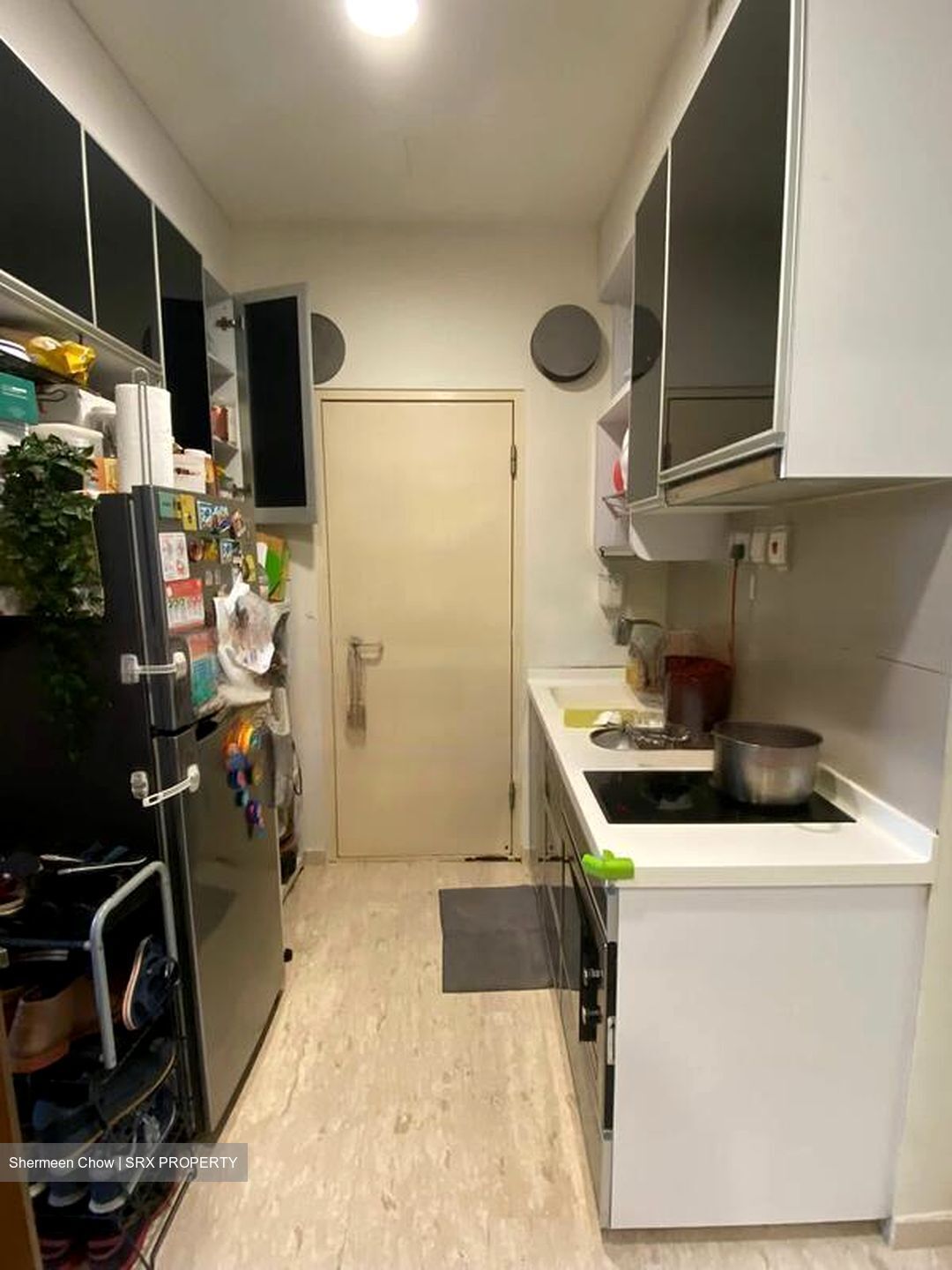 Cardiff Residence (D19), Condominium #578786661
